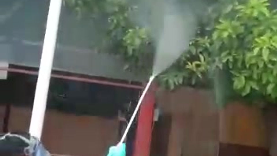 FUMIGACIÓN DE ARBOLES